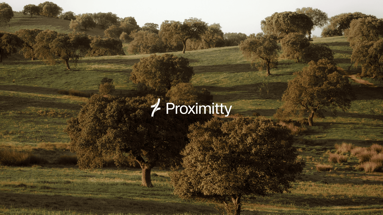 Proximitty (YC W26)