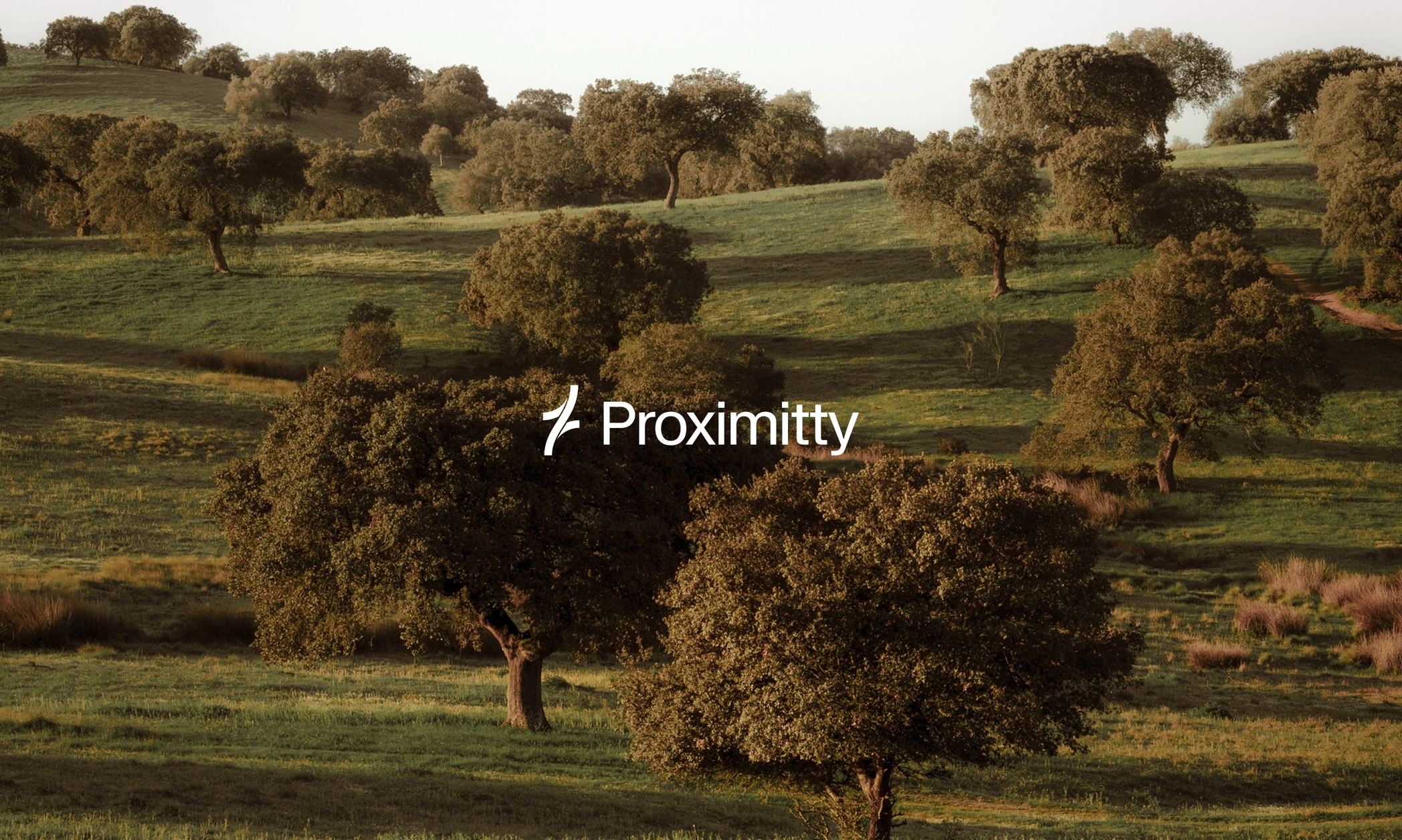 Proximitty (YC W26)